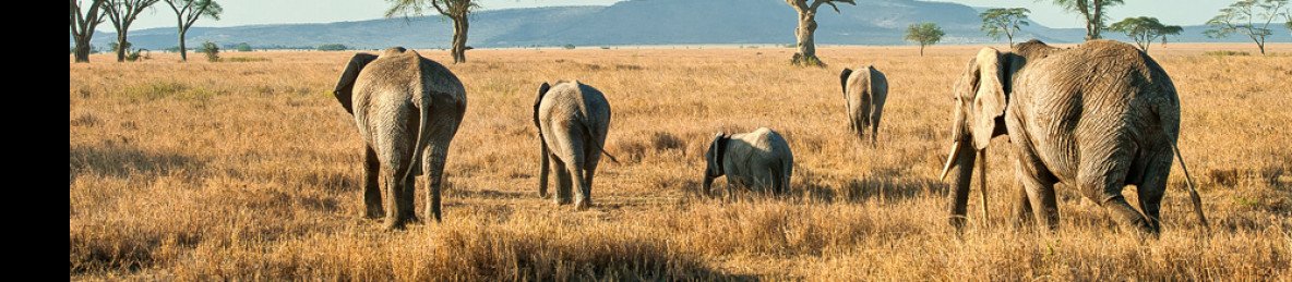 7-Day Tanzania Northern Circuit Amazing Luxury Adventure