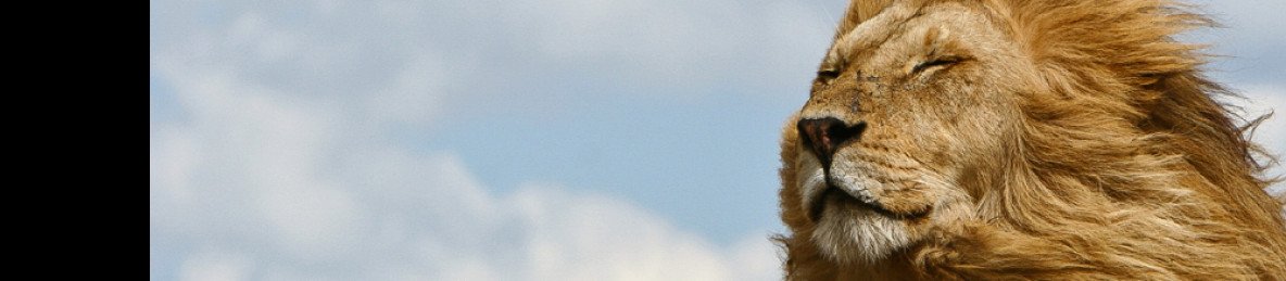 9-Day Luxury Tailor-Made Tanzania Wildlife Safari