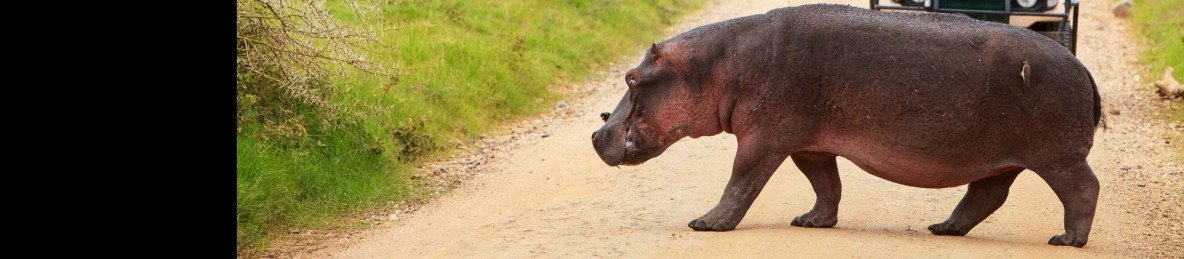 16-Day Northern Circuit, Southern Tanzania and Migration