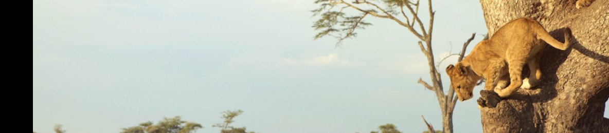 7-Day Northern Circuit Safari & Waterfall Hike Adventure