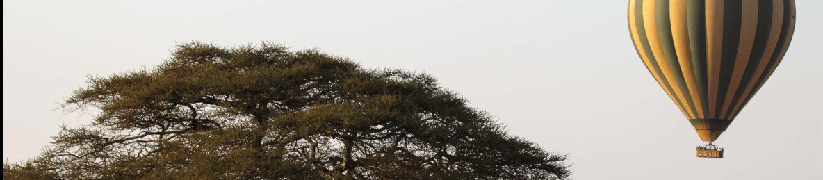 4-Day Awesome Serengeti, Ngorongoro, & Balloon Safari