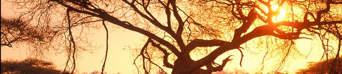 5-Day African Plains Adventure