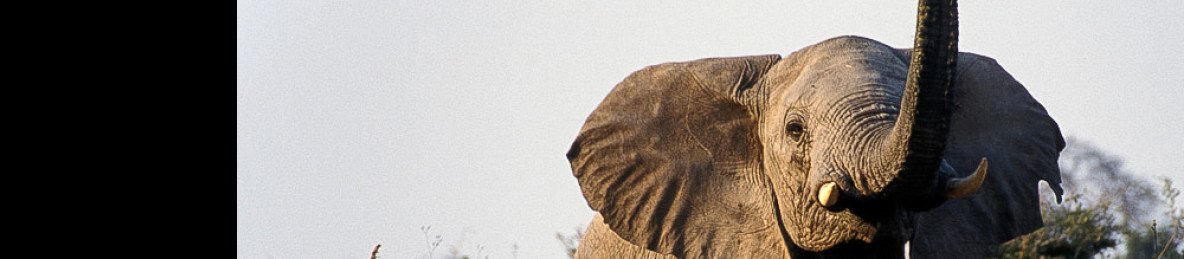 3-Day Taste of Tanzania Mid-Range (Tarangire Ngorongoro)
