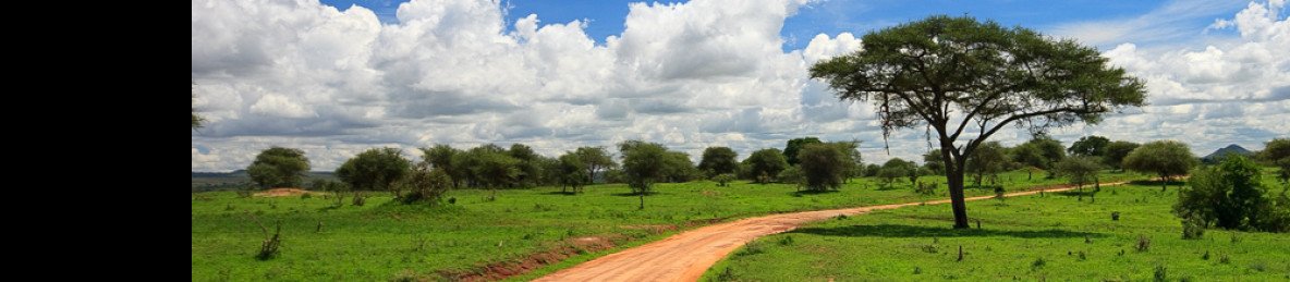 1-Day Trip from Arusha to Tarangire National Park