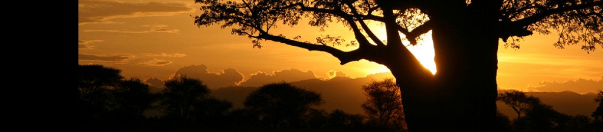 2-Day Safari, Tarangire and Lake Manyara National Park
