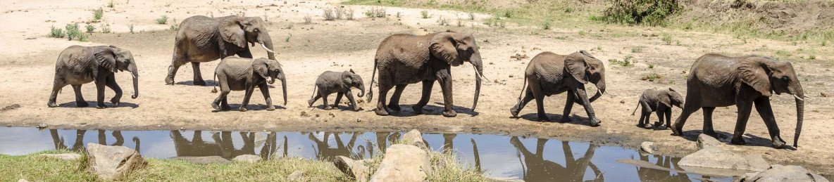 4-Day Tour Tarangire, Serengeti and Ngorongoro Crater
