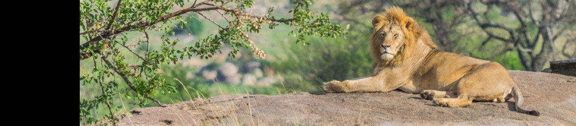 7-Day Northern Circuit Wildlife Safari Adventure