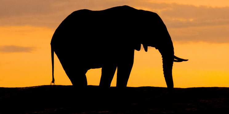 4-Day Mikumi NP to Selous GR, Game Drive + Boat Safari