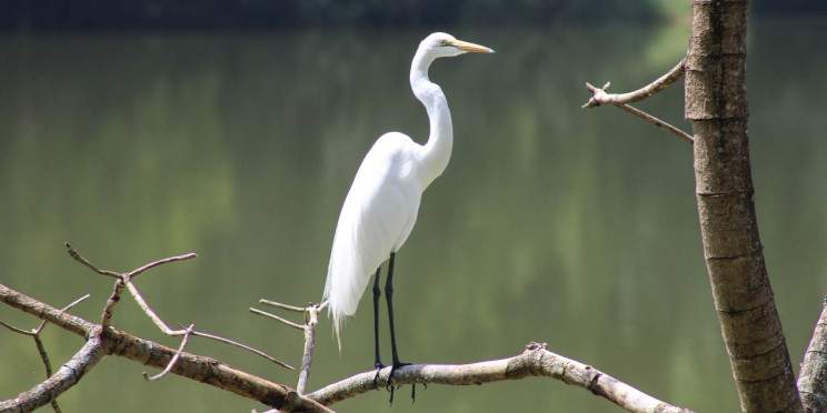2-Day Best Adventure - Fly in Safari Zanzibar to Nyerere