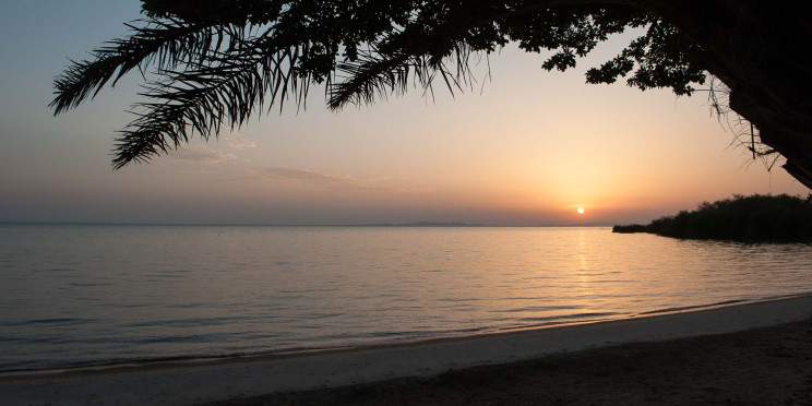 11-Day Incredible Safari & Beach Holiday
