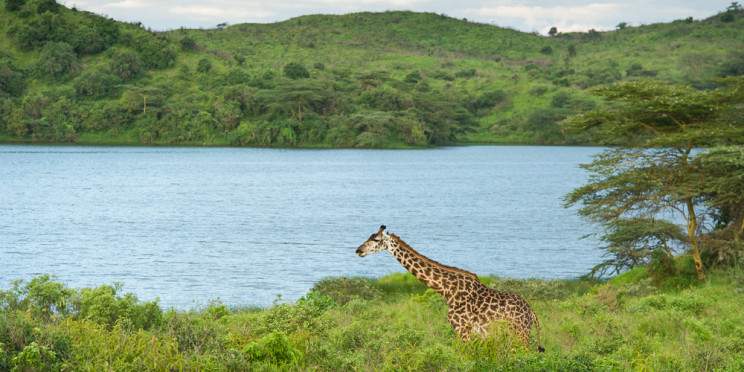 4-Day Classic Wildlife & Cultural Experience Safari
