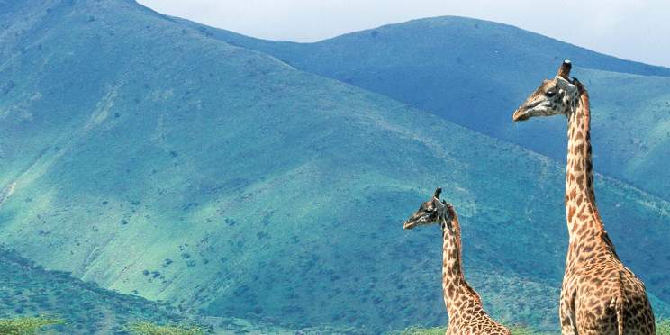 5-Day Lake Manyara, Ngorongoro & Serengeti Tour