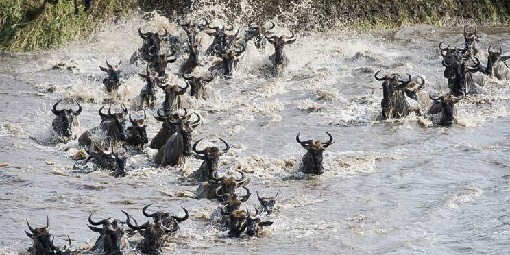 5-Day Great Migration Safari in Northern Serengeti