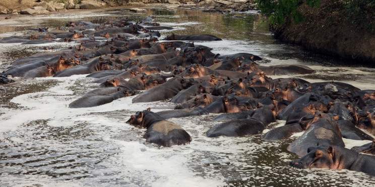 3-Day Awesome Luxury Serengeti and Ngorongoro Safari