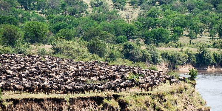 7-Day Mara River Crossing Migration Safari