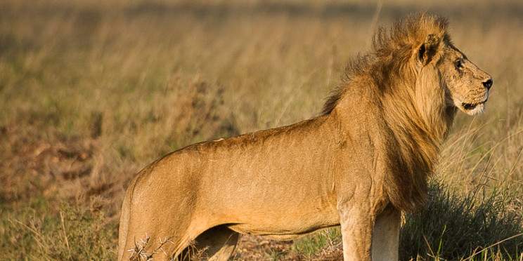 1-Day Tarangire Trip