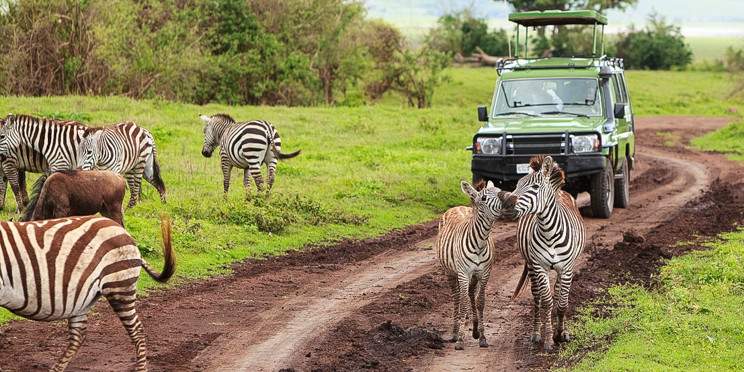 3-Day Serengeti and Ngorongoro Luxury Safari