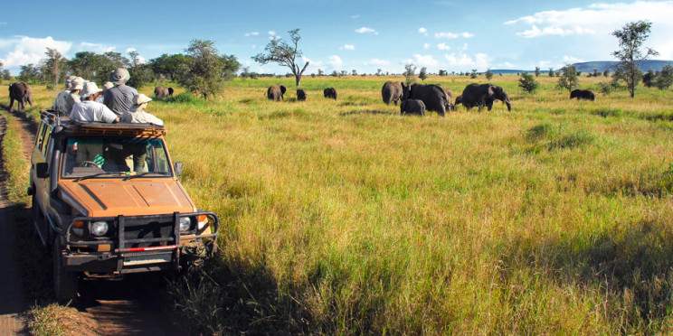 7-Day Remote Tanzania Safari