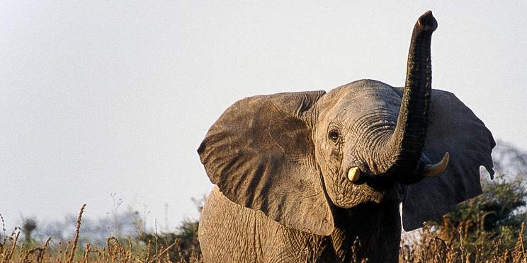 3-Day Taste of Tanzania Mid-Range (Tarangire Ngorongoro)