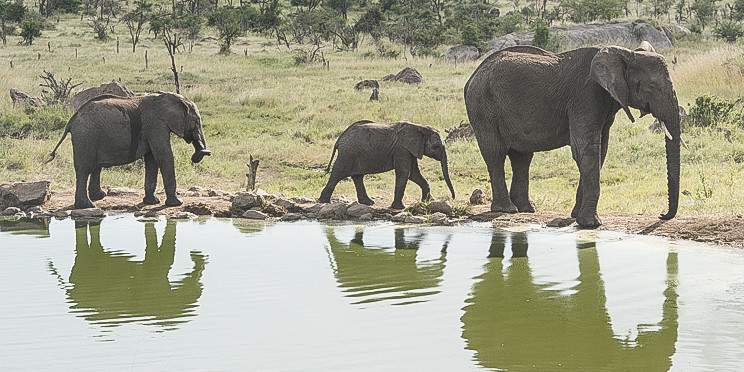 6-Day Tanzania Expedition Safari- Luxury Tour