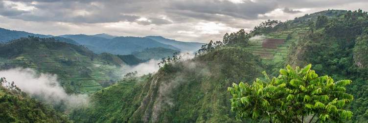 Fly to Clouds Mountain Gorilla Lodge