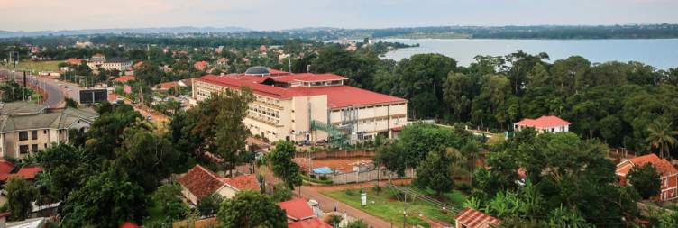 Entebbe Arrival & Shoebill Quest