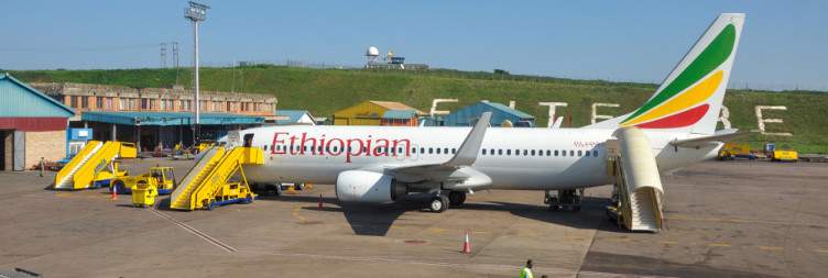 Transfer to Ziwa for Rhino Tracking then Entebbe Airport