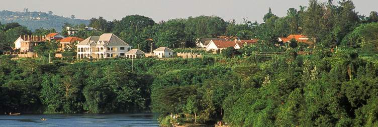Entebbe to Mabamba Swamp and Jinja