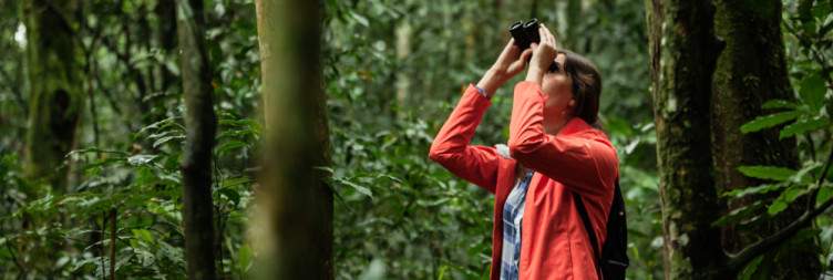 Kibale National Park Adventure