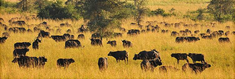 Moroto to Kidepo Valley National Park