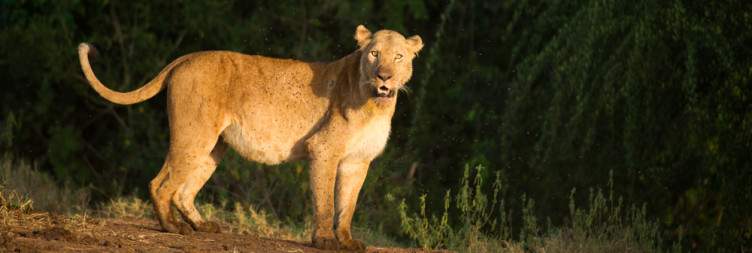 Moroto to Kidepo Valley National Park