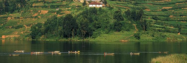 Golden Monkey Tracking and Transfer to Lake Bunyonyi for Relaxation