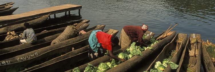 Mountain Gorilla Trekking Safari in Uganda and Transfer to Lake Bunyonyi