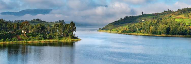 Gorilla Trekking and Transfer to Lake bunyonyi