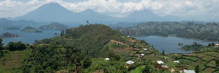 Gorrila Trekking