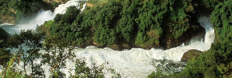Hyenas and the World's Most Powerful Waterfall