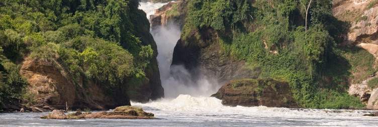 Game Drive through the Park and Boat Ride on the Victoria Nile