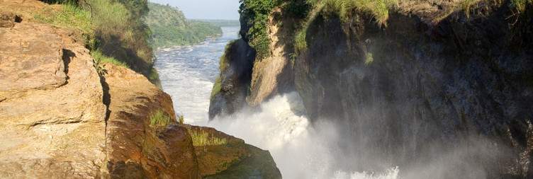 Transfer to Murchison Falls National Park with rhino tracking in Zziwa Rhino Sanctuary