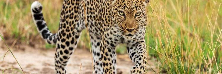 Queen Elizabeth National Park via the Equator