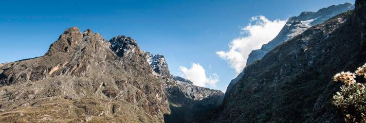 Hight Altitude Coffee near Rwenzori Mountains