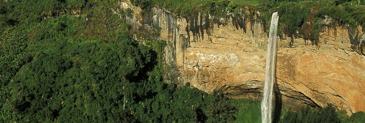 Abseiling Rock Climbing and Coffee Tour