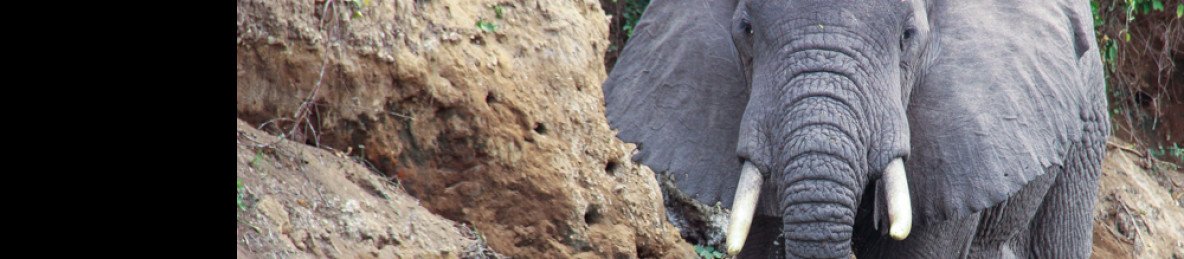3-Day Adventure Safari to Murchison Falls