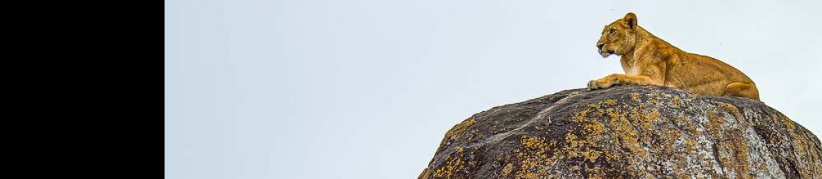 11-Day Explore Uganda Safari Adventure and Culture Tour