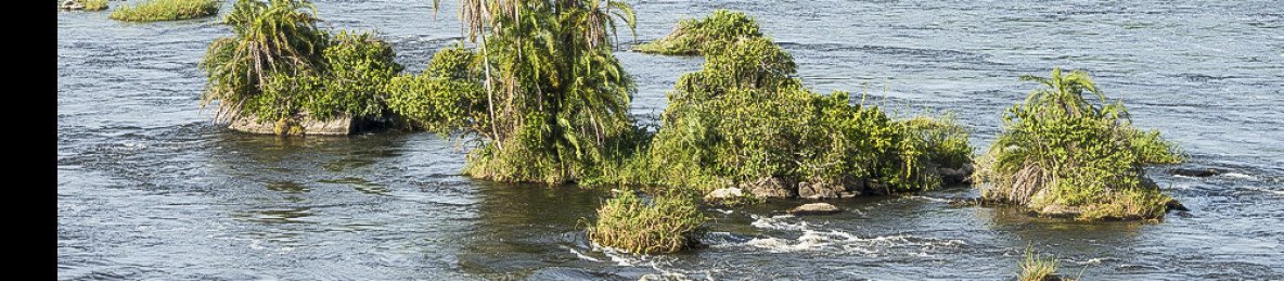 1-Day Lake Victoria Nile Perch Fishing Adventure Uganda