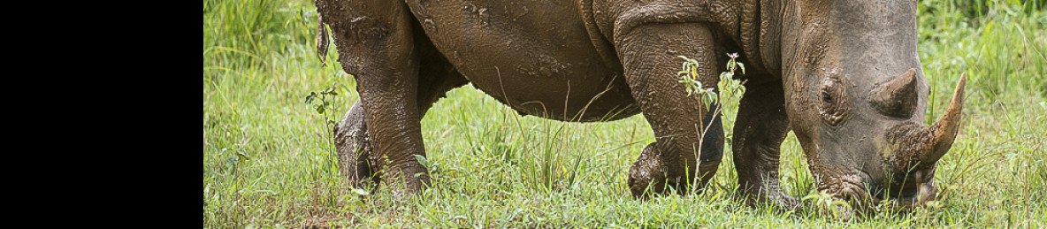 16-Day Magic of Nature Wildlife Safari