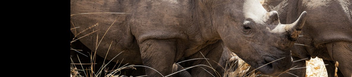 5-Day Rwanda Uganda Gorilla Trek Safari & Wildlife Tour