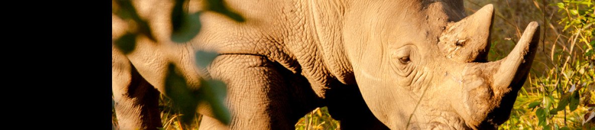 5-Day Kidepo Valley National Park Tour