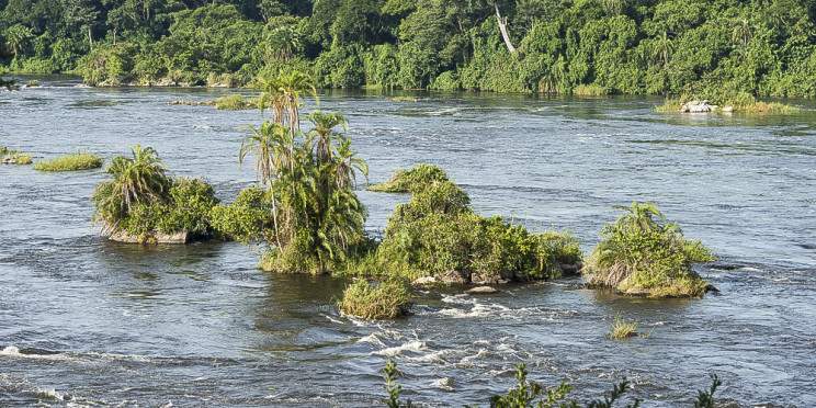 1-Day Lake Victoria Nile Perch Fishing Adventure Uganda