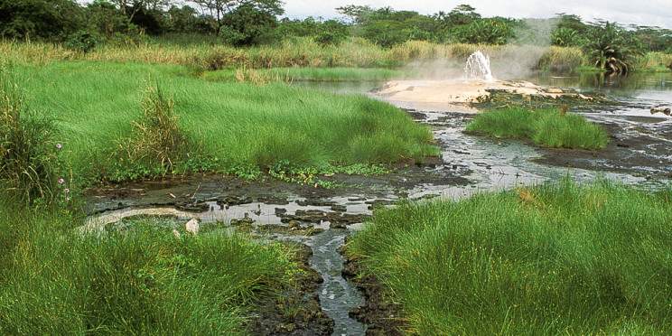 5-Day Chimpanzee Hot Springs and Cultural Safari Uganda