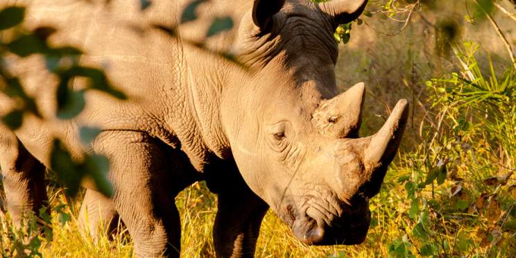 5-Day Kidepo Valley National Park Tour